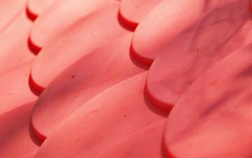 Arscott plastic roof costs