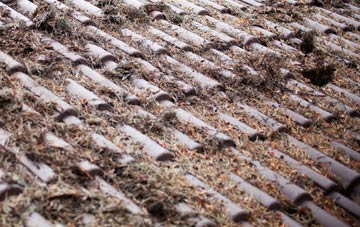 Arscott roof cleaning companies